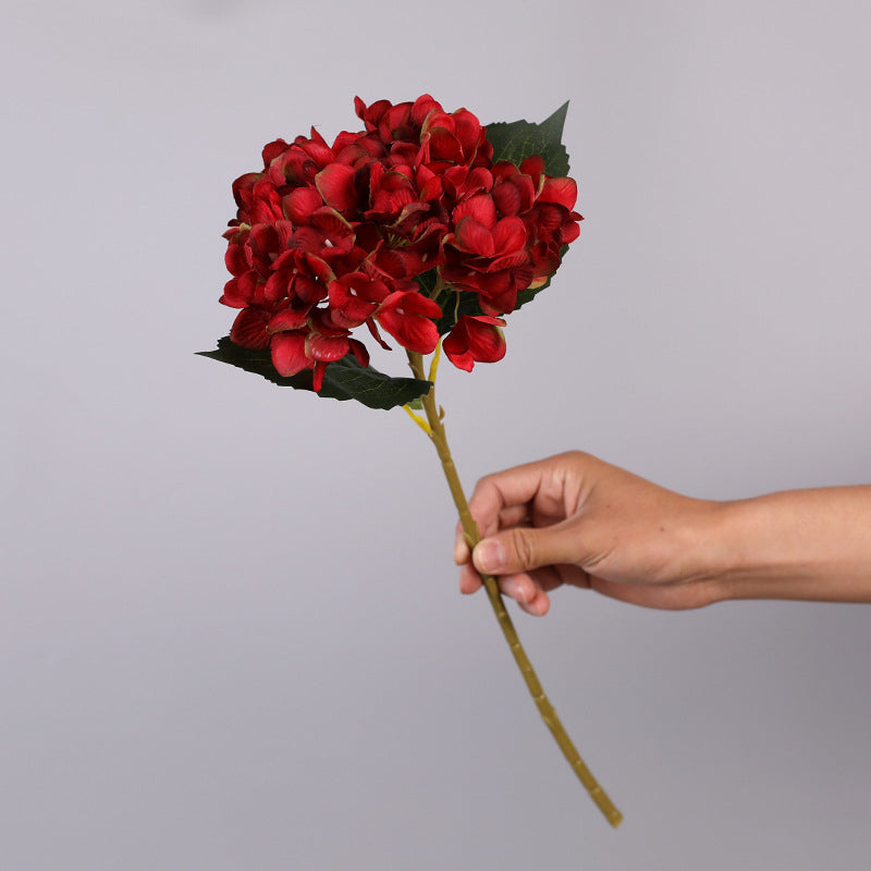 Hortensia Artificielle