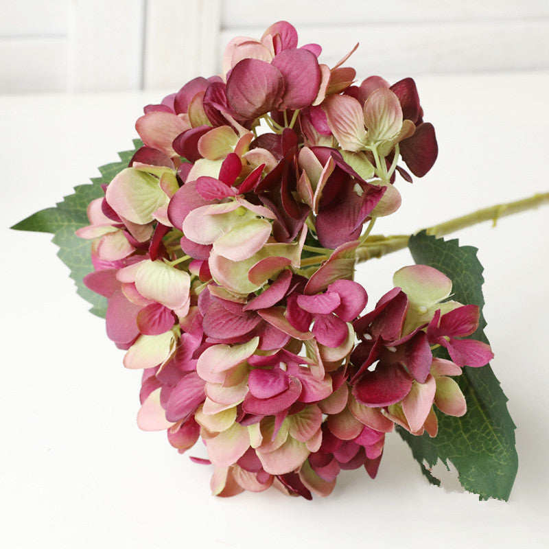 Hortensia Artificielle