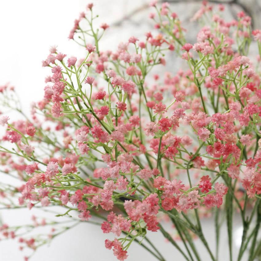 Gypsophile Artificiel