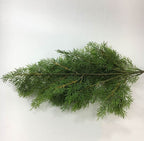 Branche De Sapin Artificielle