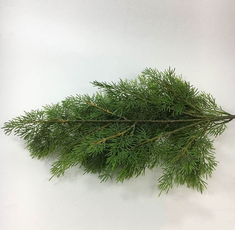 Branche De Sapin Artificielle