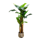 Bananier Artificiel Pas Cher