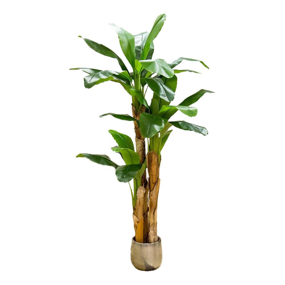 Bananier Artificiel 2m