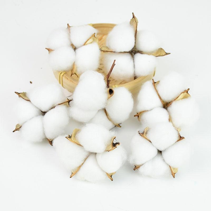 Boules de coton (10 boules)