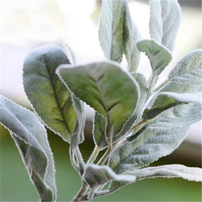 Oreille de Lapin Artificielle