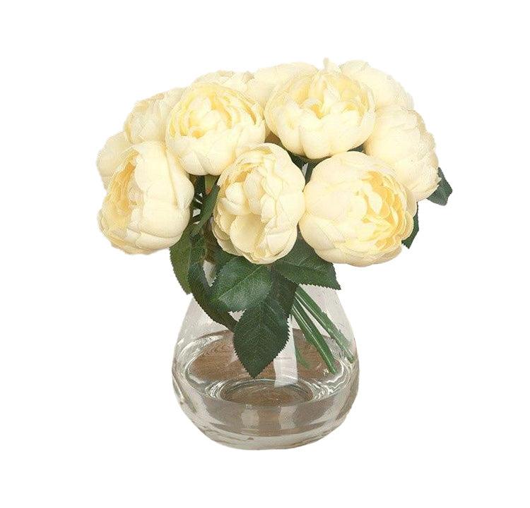 Rosier jaune de damas 28 cm