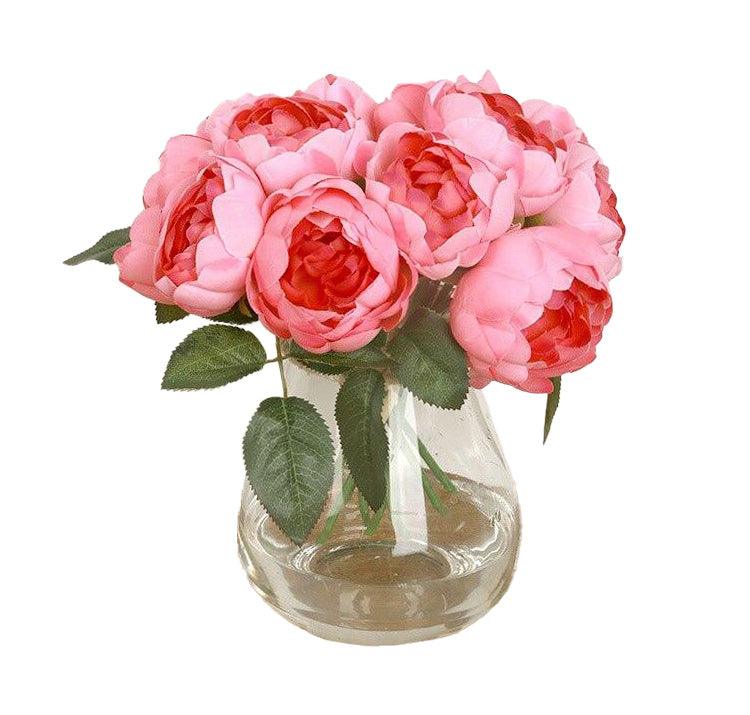 Rosier rose de damas 28 cm