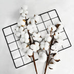Branche de fleur de coton (10 boules) 50 cm