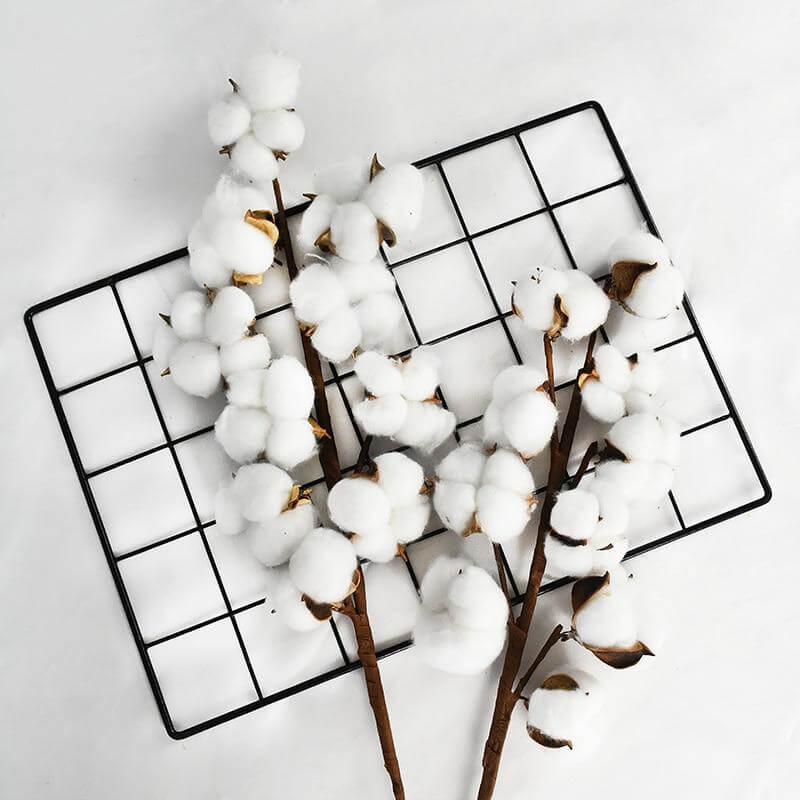 Branche de fleur de coton (10 boules) 50 cm