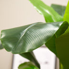 Bananier Artificiel Pas Cher