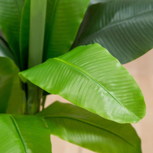 Bananier Artificiel 2m
