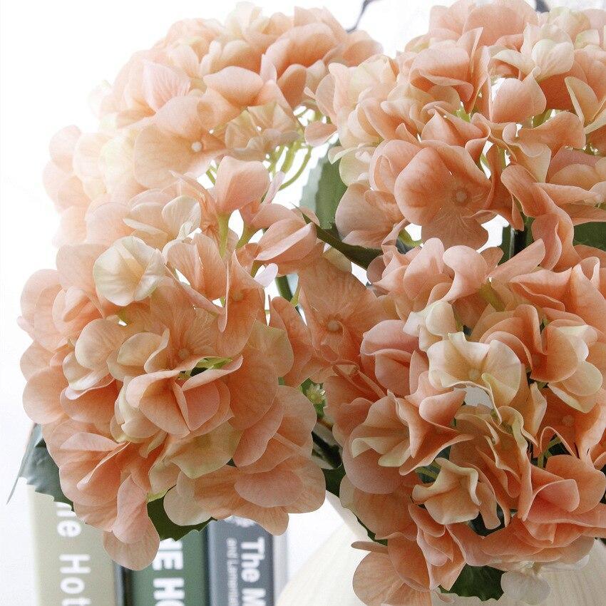 Hortensia haut de gamme orange