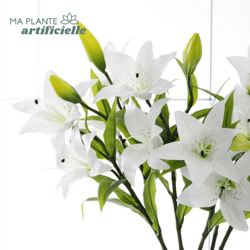 Lys en silicone haut de gamme