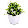 Mini Plante Artificielle en Pot