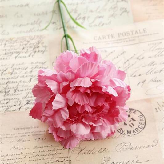 Œillet unitaire en soie