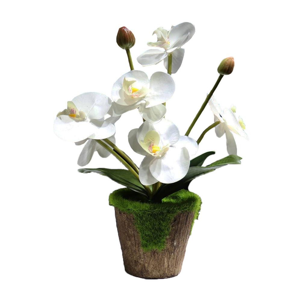 Orchidée artificielle blanche en pot 30cm