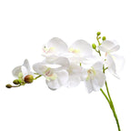 Orchidée artificielle blanche haut de gamme 67 cm