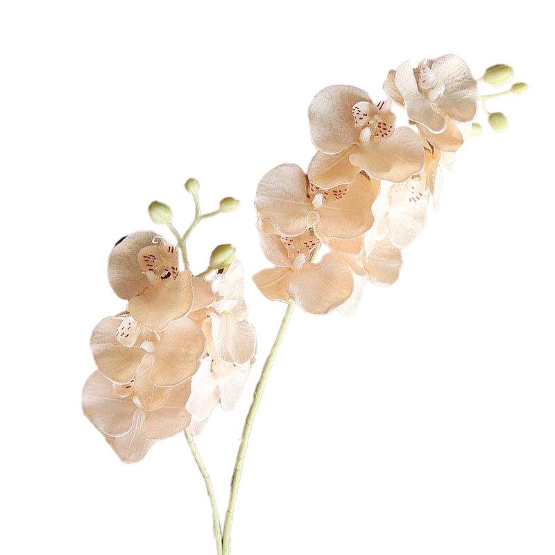 Orchidée artificielle champagne 65 cm