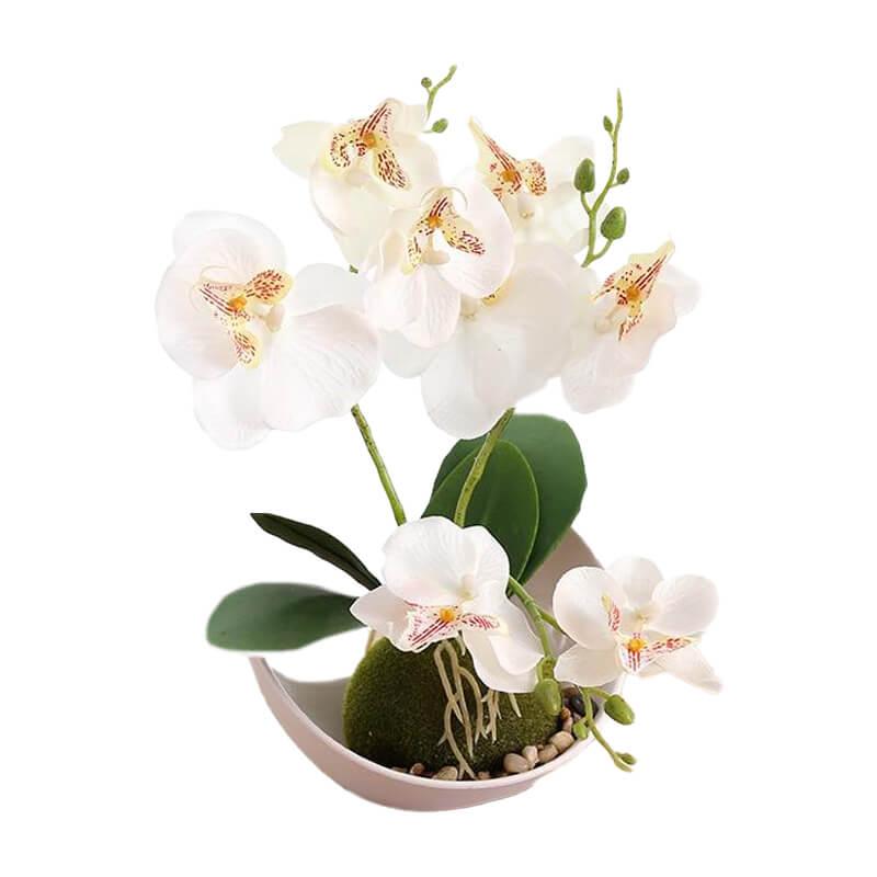 Orchidée artificielle blanche