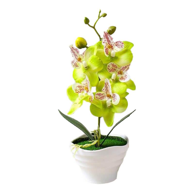 Orchidée artificielle verte en pot 24 cm