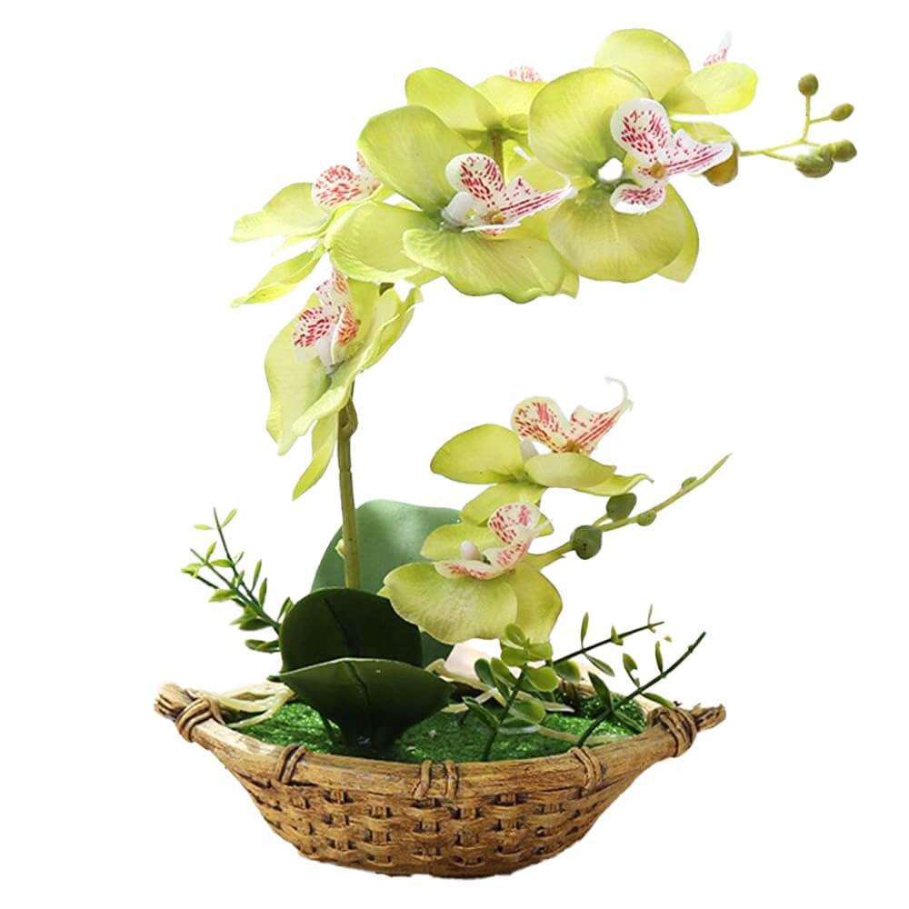 Orchidée artificielle verte asiatique