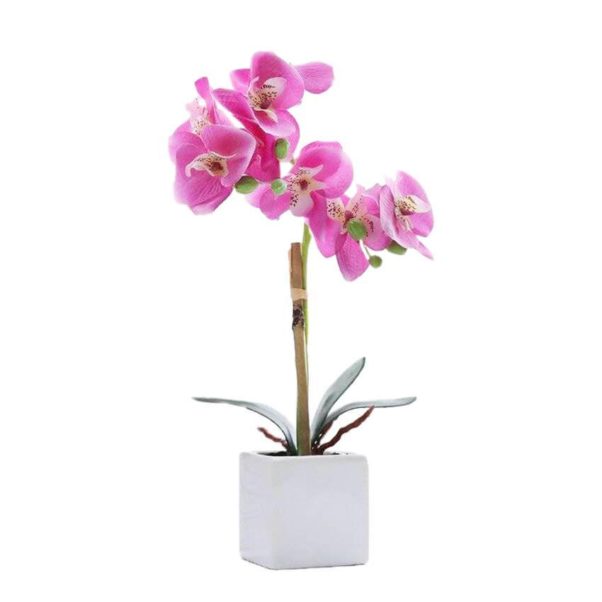 Orchidée artificielle pour décoration