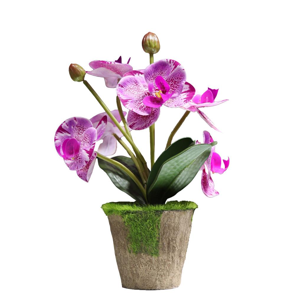 Orchidée artificielle rose et violette en pot 30cm