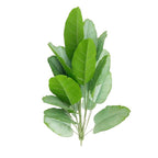 Bananier Artificiel Interieur