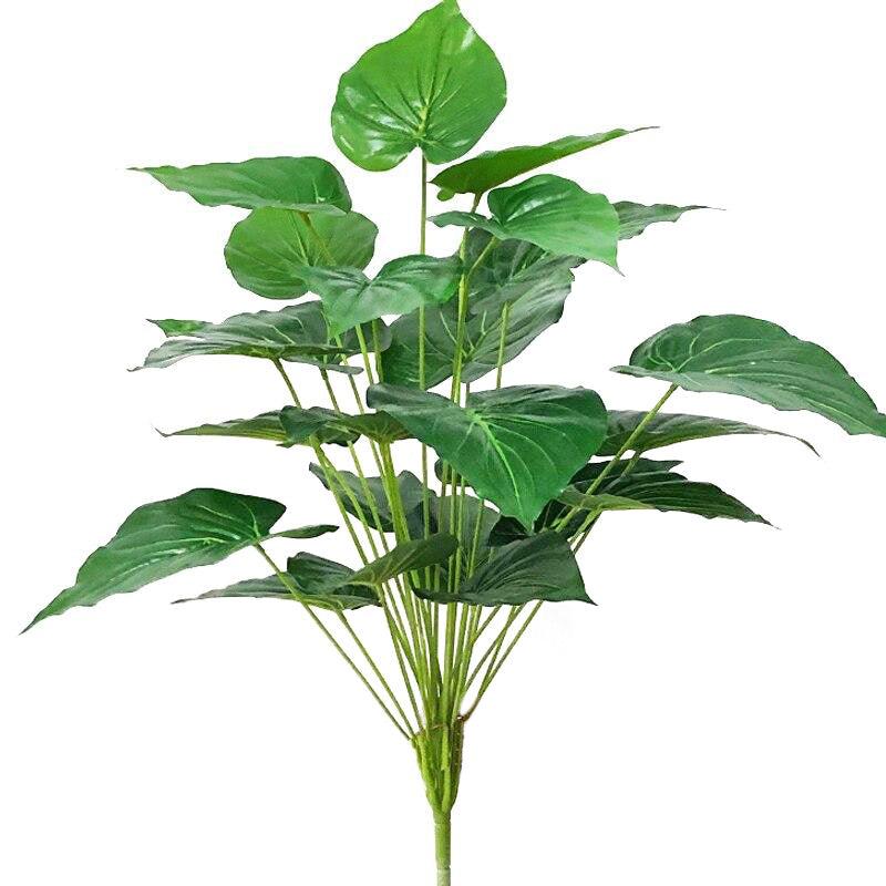 Plante Verte Exotique Pas Cher