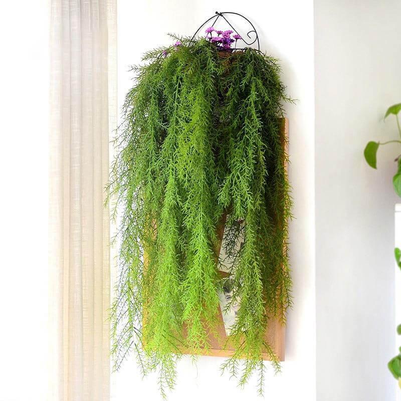 Fausse Plante Tombante