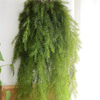 Fausse Plante Tombante