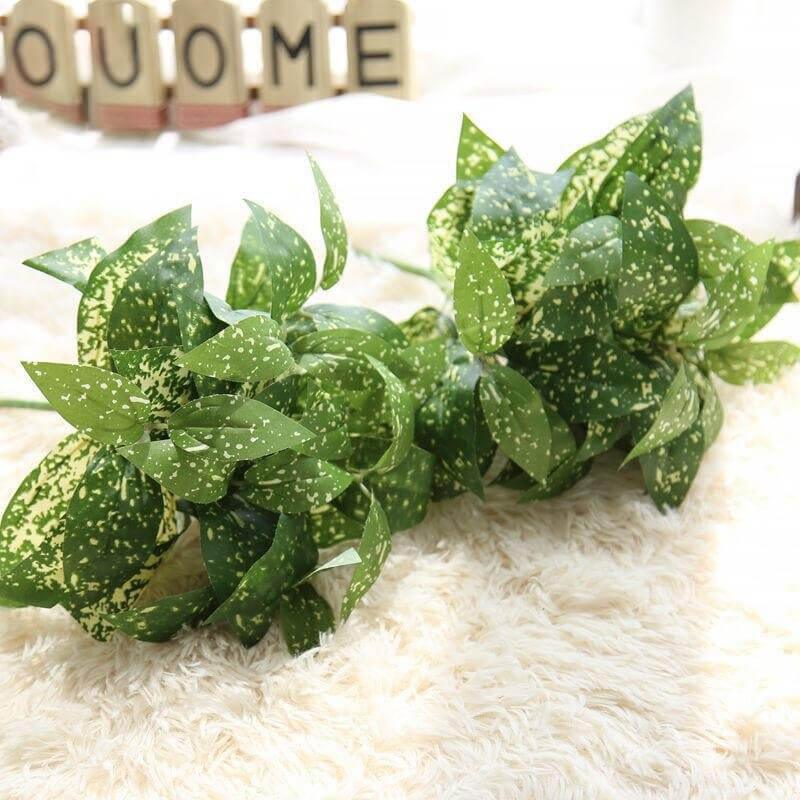 Dracaena Marginata Artificielle