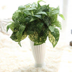 Dracaena Marginata Artificielle