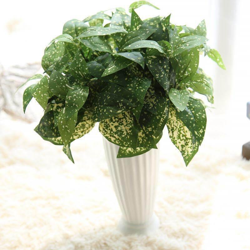 Dracaena Marginata Artificielle